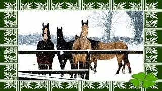 Snow in Ireland Storm Emma Ирландию занесло снегом.1/3/3018