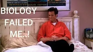 Chandler Bing being an alternate mood.