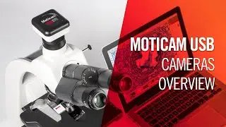 Moticam USB cameras overview | by Motic Europe