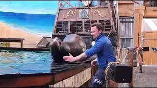 zeehond