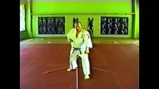 Экзаменационная программа Каратэ Кёкусинкай ИФК, ката, бункай 10- 1 кю. А.И. Танюшкин, В.П. Фомин.