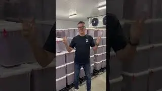 Сколько икры закупают к Новому Году. Красная икра горбуши и нерки