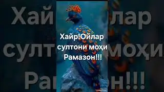 Мен Сизга Жаннатни тилайман