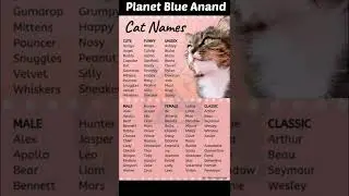 Cat Names For Male and Female. 