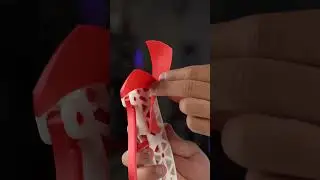 3D Printed Squeeze Fan vs Real