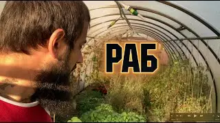Как стать богатым  30 финансовых советов, которые помогут стать богаче