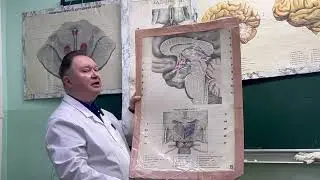 Video lecture 