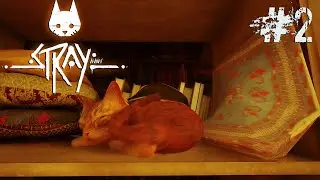 МЕРТВЫЙ ГОРОД | STRAY #2