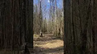 Всё ради любви 