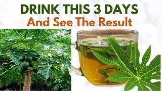 SURPRISING BENEFITS OF PAPAYA LEAF TEA - How To Prepare Leaf Tea