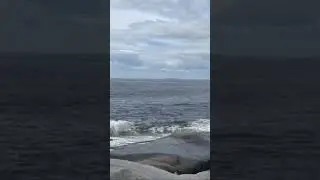 Halifax Beach