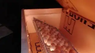 инкубатор