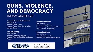 Center for Firearms Law | Guns, Violence & Democracy: Panel 4, Guns & Advocacy