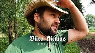 Diena iš dienos - Būro kiemas #12-23