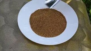Горчица семена