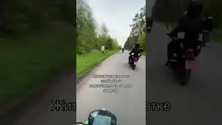 Мотология