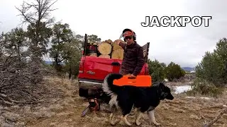 EASIEST FIREWOOD TRIP EVER! (Side Hustle)