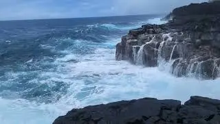 Mackenzie State recreation area Big Island Hawaii
