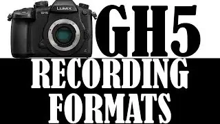 GH5 Recording Formats
