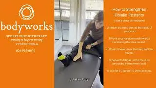 Tibialis Posterior Simple Strengthening Exercise for Ankle and Foot by Physiotherapist Dana Ranahan