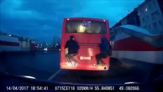 Школота