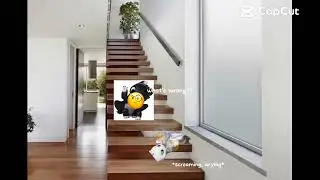Omg