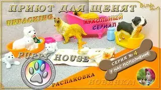 Приют для щенят | 4 серия