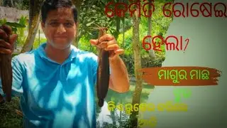 ମାଗୁର ମାଛ କେମିତି ରସେଇ ହେଲା ?#short video 😘 କେମିତି ହୋଇଥିଲା ଟେଷ୍ଟ..//.. ଚାଲନ୍ତୁ ଦେଖିବା ଏଇ vloge ରେ @.
