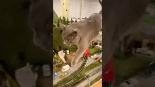 Catzilla Vs. HO Model Train Layout 