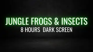 Jungle Insects and Frogs Sounds for Sleep and Relaxation | 8 Hours Black Screen