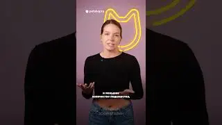 Каким собакам холоднее всего зимой?  