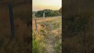 Hiddensee evening walk #travel #vacation