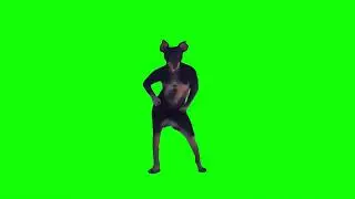 Dog dancing Green Screen Meme
