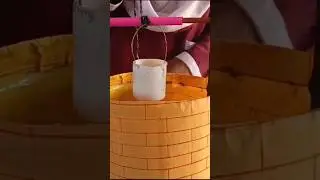 Fixed Pulley