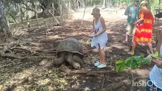 Экскурсия на Занзибаре из отеля Paradise beach resort