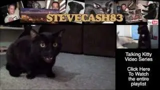 Talking Kitty   Demon Cat  2013