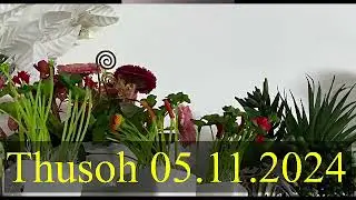 Thusoh 5November 2024