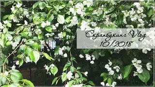 10/2018 Скрапбукинг/Vlog: после большого перерыва, про мои завалы и подготовку к фестивалю.