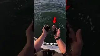 What happens when an octopus squirts ink?