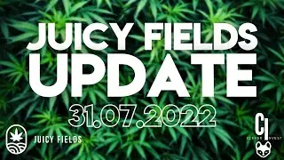 Juicy Fields Firmen Update - 31.07.2022 - Der Phönix muss verbrennen, um neu aufzuerstehen