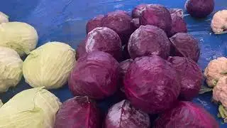 АЛАНІЯ - ВСЕ ЗДОРОЗЧАЛО