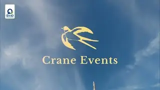QimiQ meets Royals Teaser 