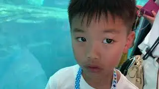 Osaka Aquarium Entire Tour //#1