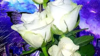Добрый день! Хорошего всем настроения!👍🤗