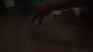 Ava vs Hamsters