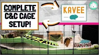 DIY Guinea Pig Cage: Setting up a Complete Kavee C&C Cage Kit!