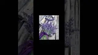 как думаете что за ФФ ? 
