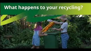 What happens to your recycling on the Sunshine Coast?