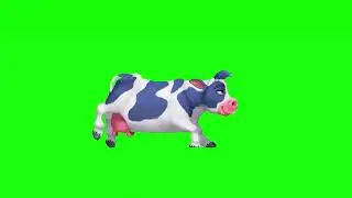 Green Screen Cow Running  | Chroma Key Graphics For Videos No Copyright (Free To Use)