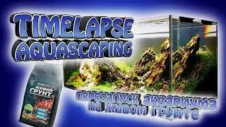Step by step timelapse aquascaping! -  Запуск аквариума на "живом грунте".